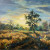 Summer evening. Paint with acrylic on canvas.
